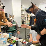 あけましておめでとうございます！